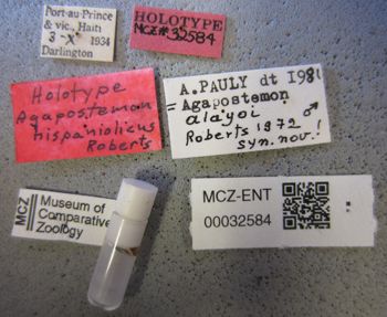 Media type: image;   Entomology 32584 Aspect: labels